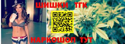гидра Брянск