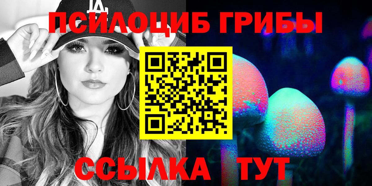 Артёмовский  Псилоцибиновые грибы Cubensis  Вход с VPN 