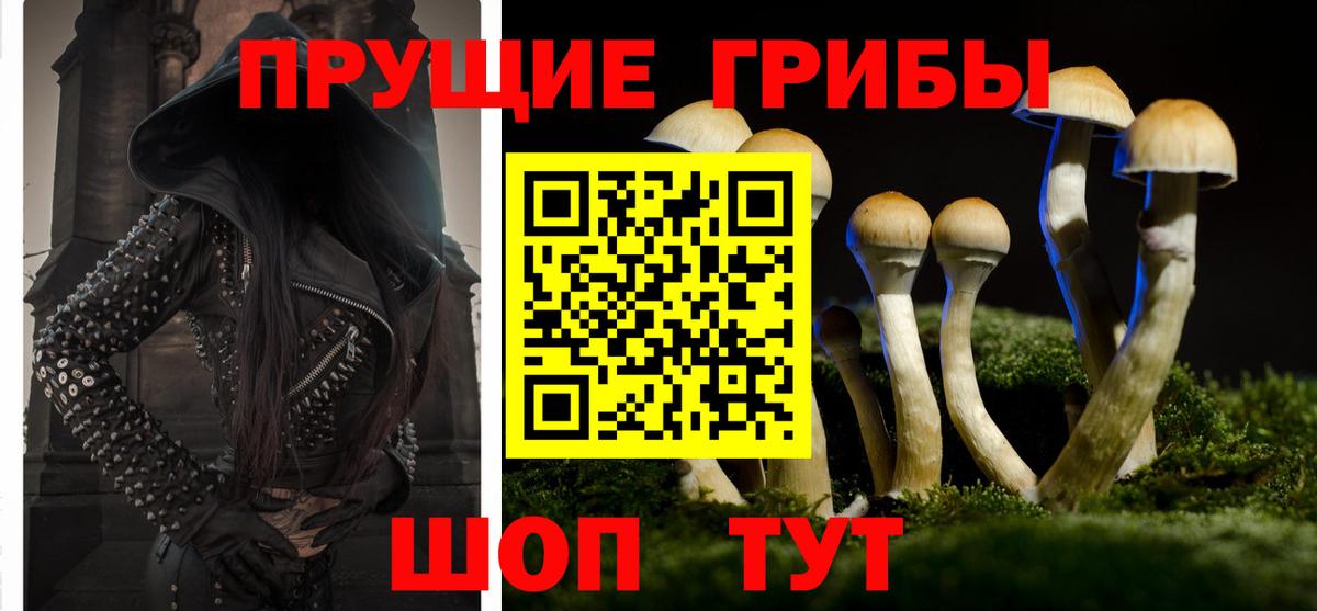Псилоцибиновые грибы Psilocybine cubensis Артёмовский